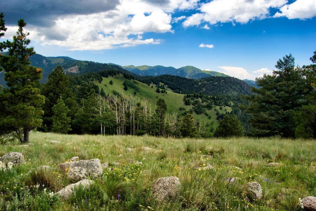Alpine Cabin, 3 Bedrooms, Deck, Sleeps 8 Ruidoso Exterior photo
